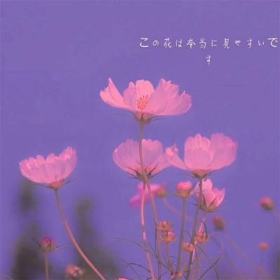 葫芦侠我的世界盒子手机版下载